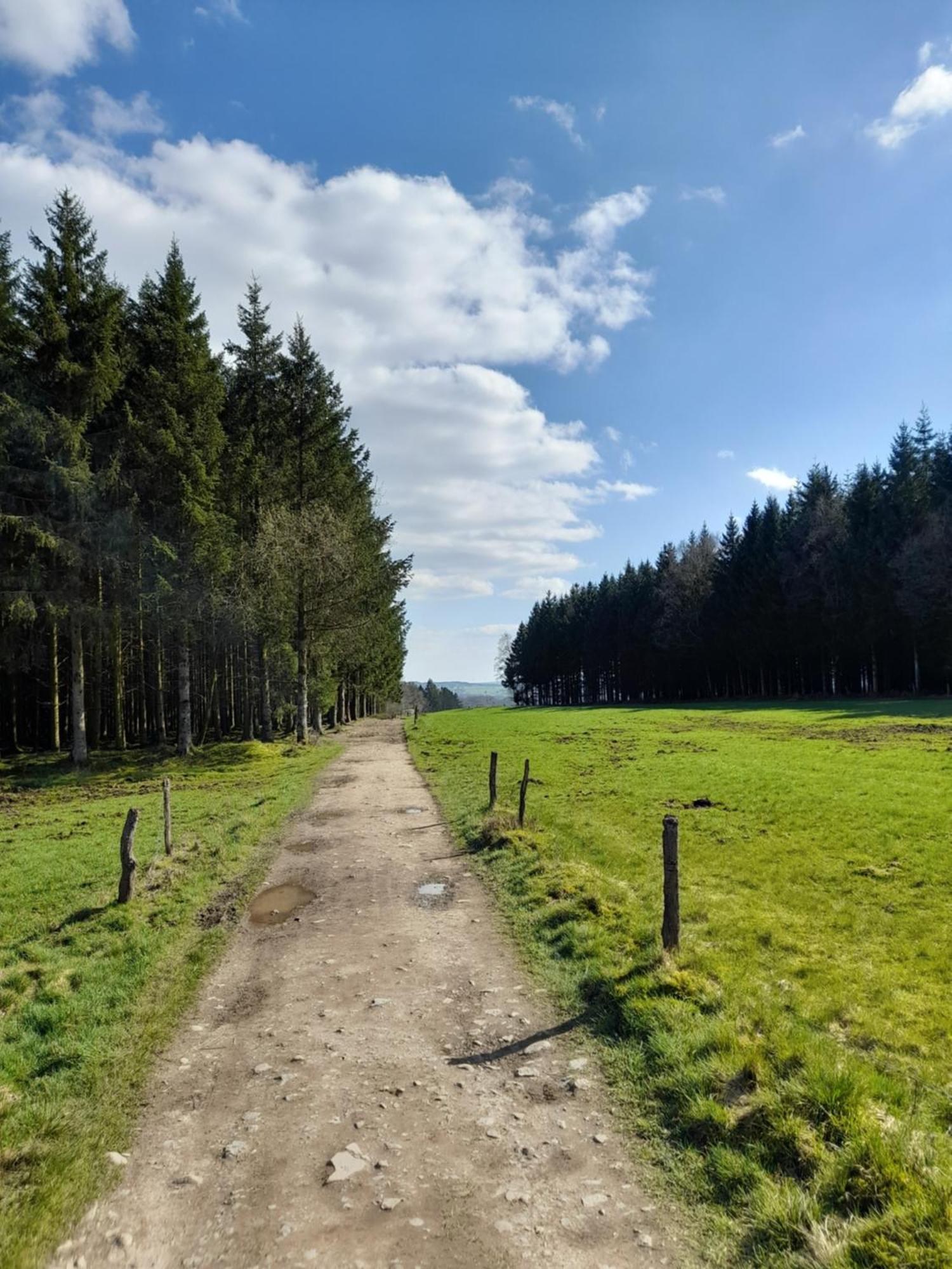 L'Ecureuil - Terrasses De Malmedy Villa Kültér fotó