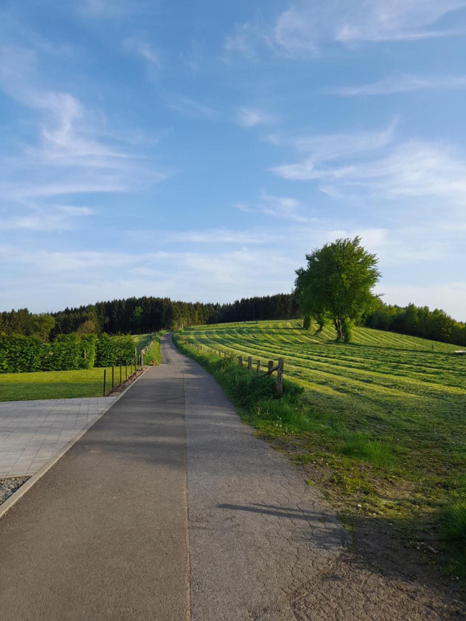 L'Ecureuil - Terrasses De Malmedy Villa Kültér fotó