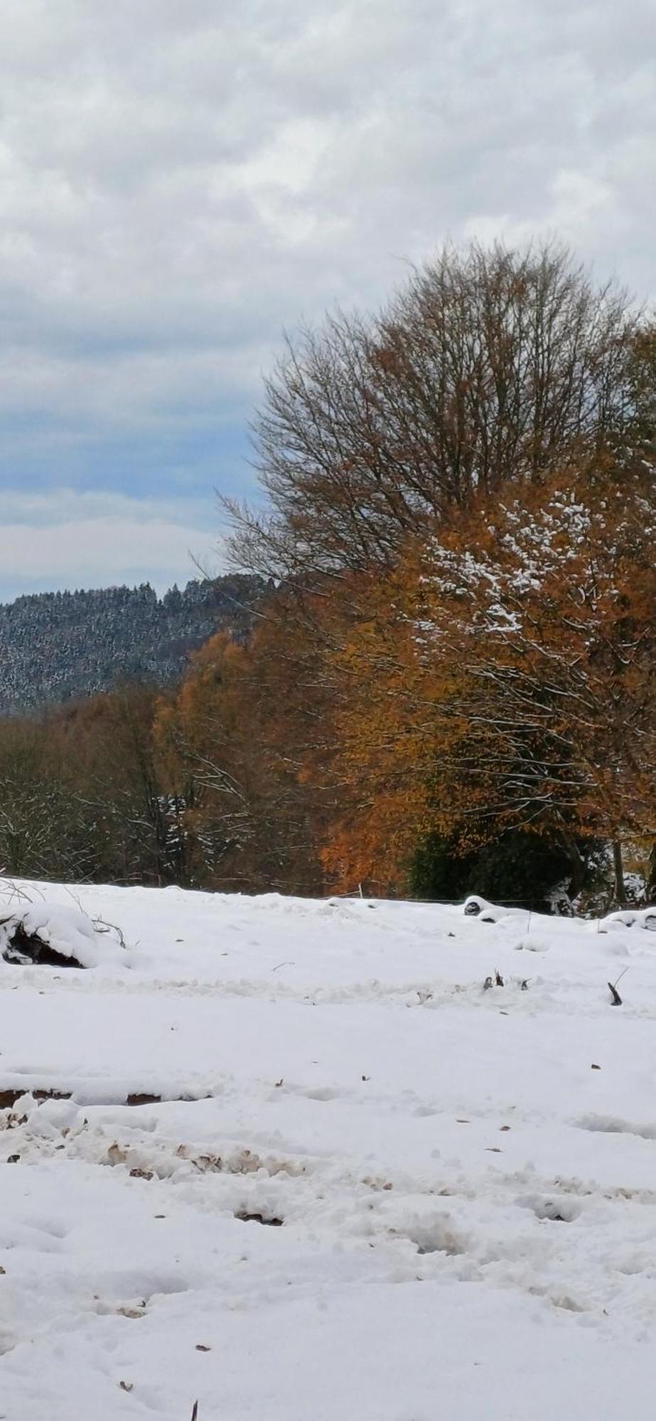 L'Ecureuil - Terrasses De Malmedy Villa Kültér fotó